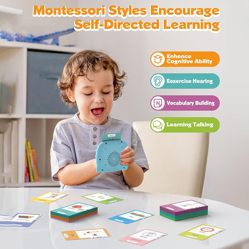 Baan Toys Talking Flash Card Reader Learning Toy For Kids (1 Year+)